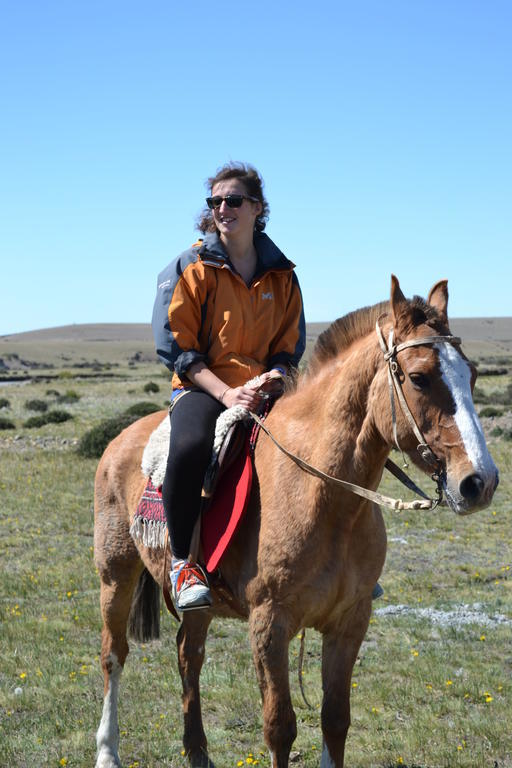 Camping Y Hostal El Ovejero El Calafate Luaran gambar