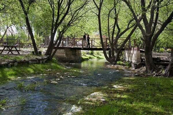 Camping Y Hostal El Ovejero El Calafate Luaran gambar